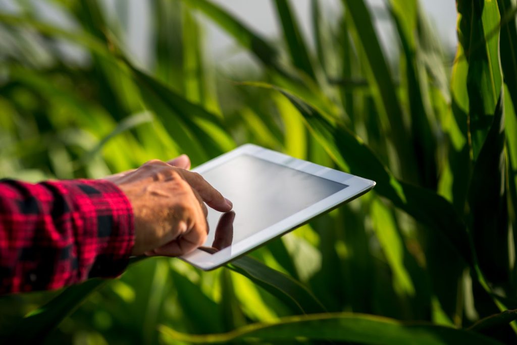 The Role of IoT in Modern Agriculture