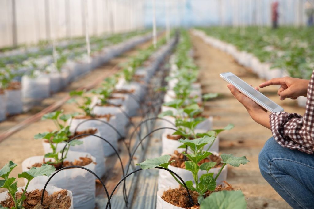 Challenges and Solutions in Implementing IoT in Agriculture