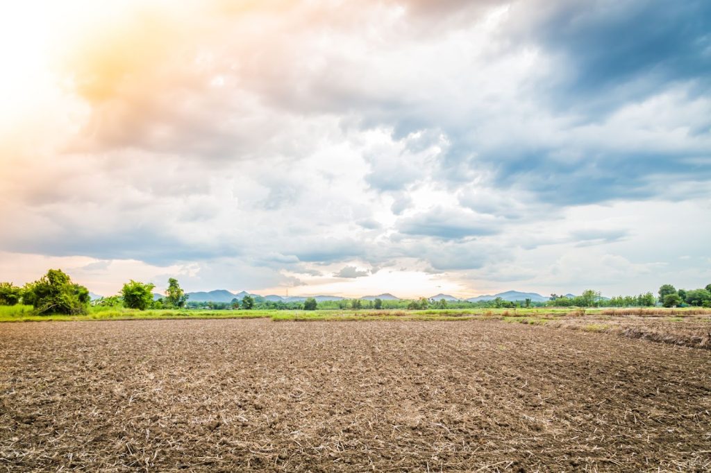 Right Land for a Solar Farm